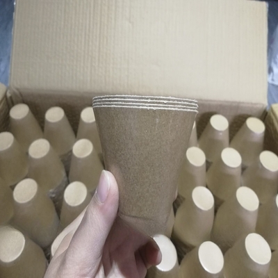 Stageli DIY Electric Igniter Match vuurwerk Papier schelpen voor elektrische ontstekers vuurwerk display