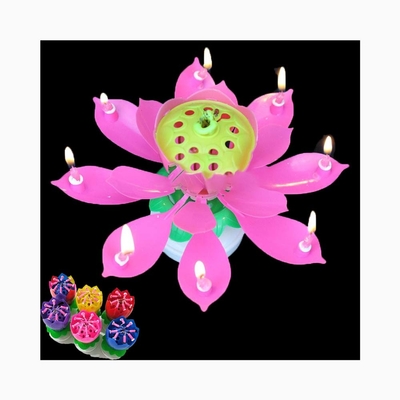 Verjaardagstaart Kaars Lotus Zingen Verjaardagstaart Vuurwerk Kaars Verjaardagsfeest Spinnen Lotus Kaars